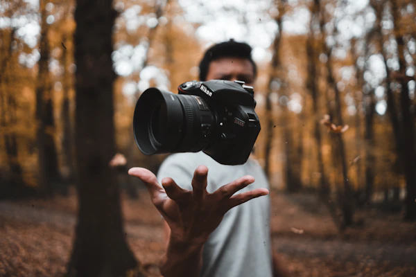 How to Hire a Photographer in Auckland: Your Definitive Guide to Capturing Perfection