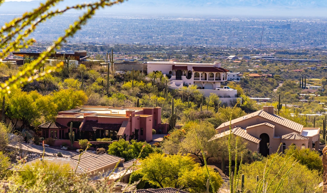 Arizona State Museum South