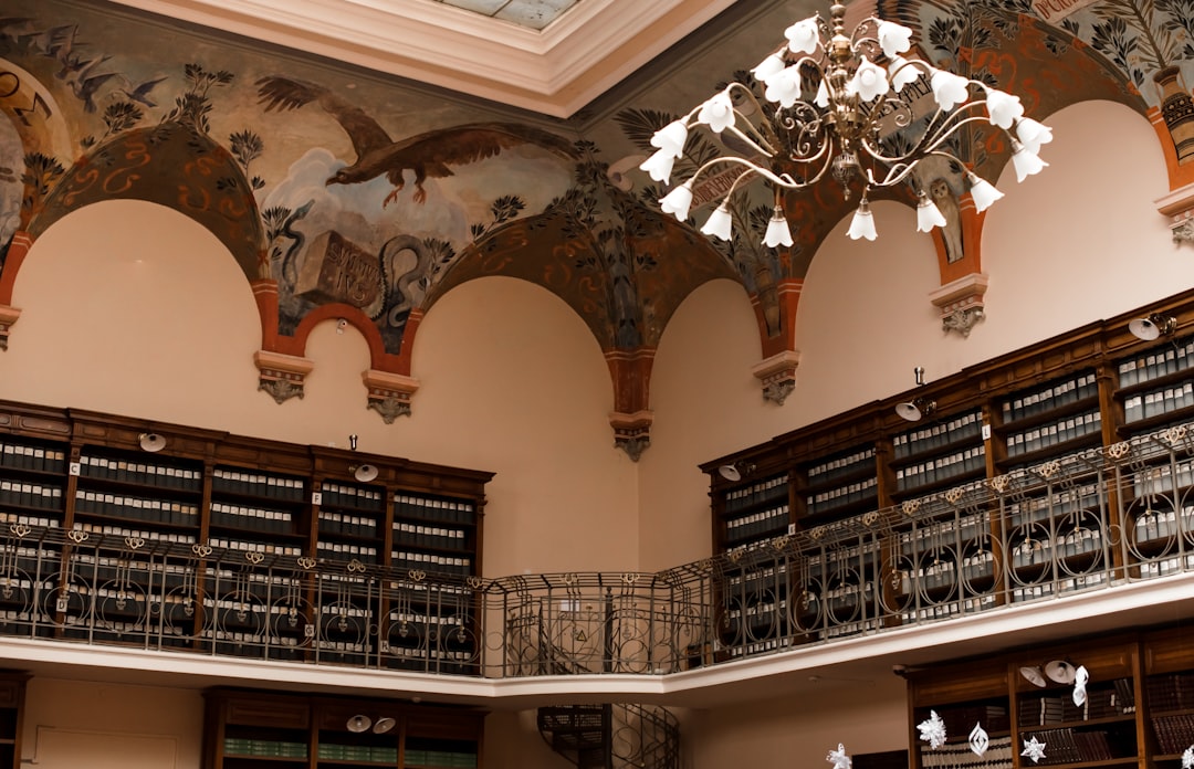 Biblioteca del Museo Tellechea