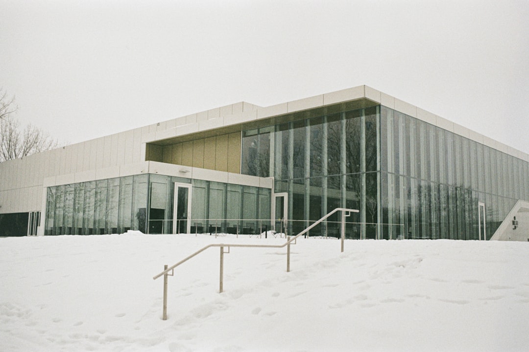 Biblioteca Pública El Nevado
