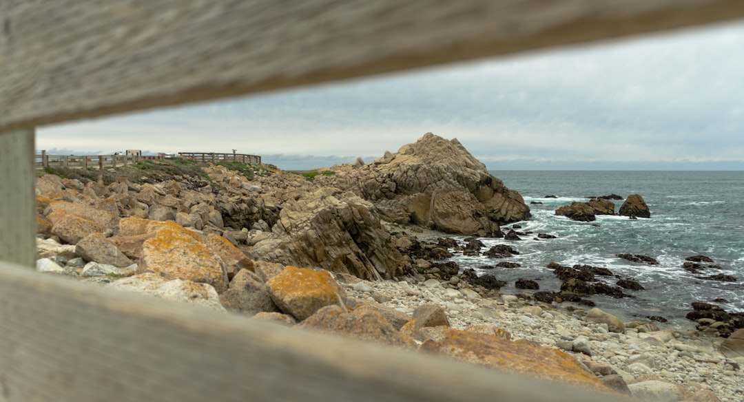Bon Ton L'Roy's Lighthouse Smokehouse