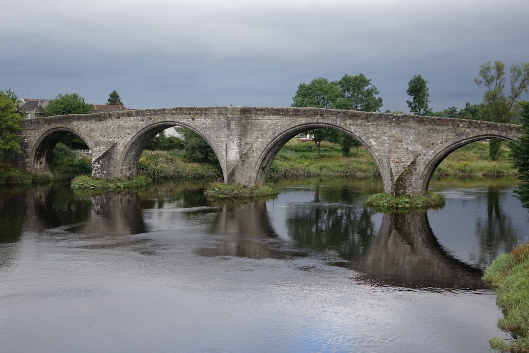 Bridge of Allan Library