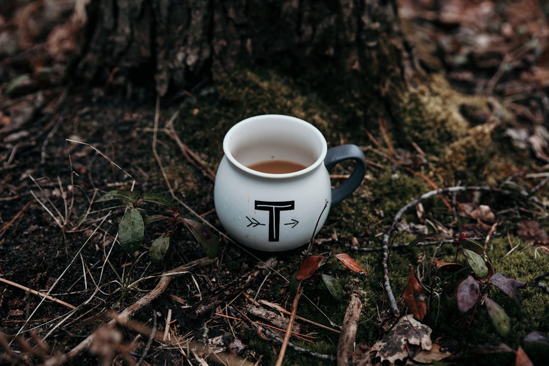 Café Tribu