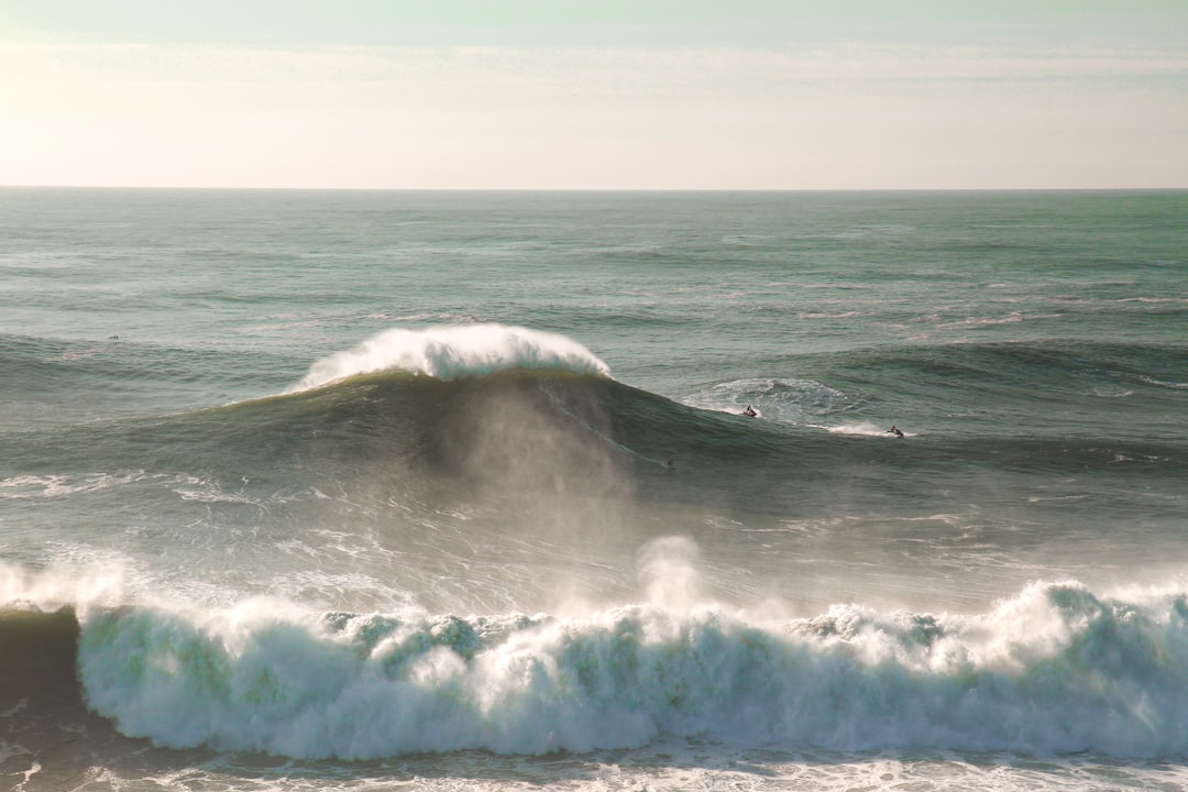Centro de Alto Rendimento de Surf da Nazaré