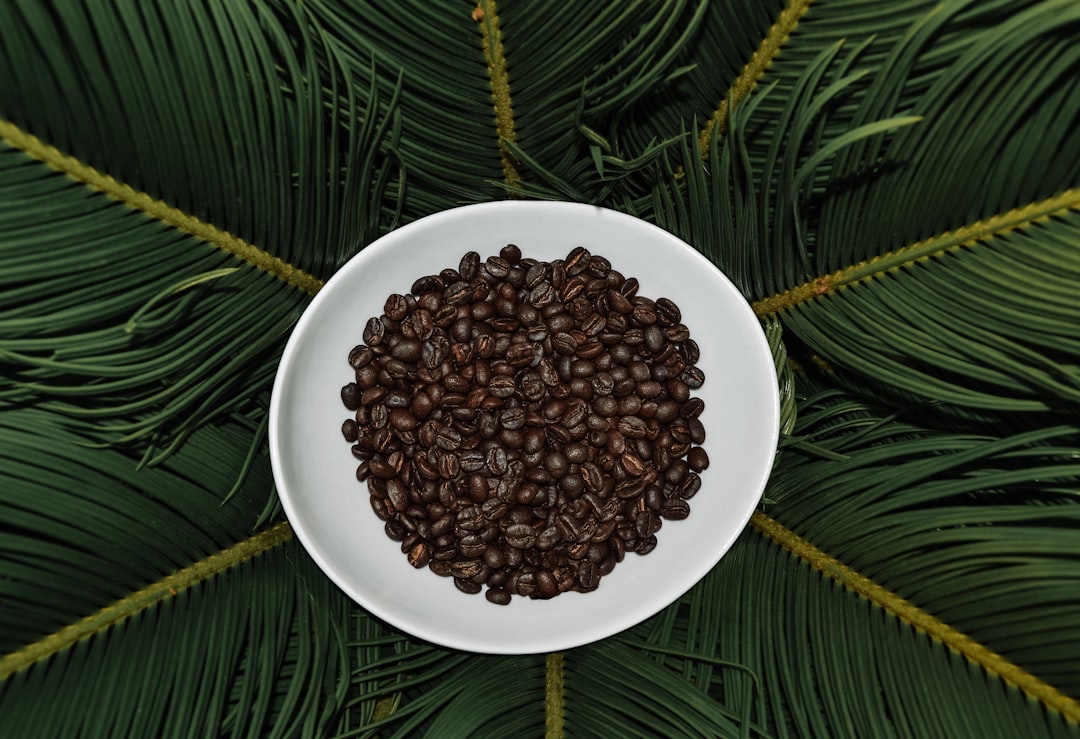 Coffee Tree