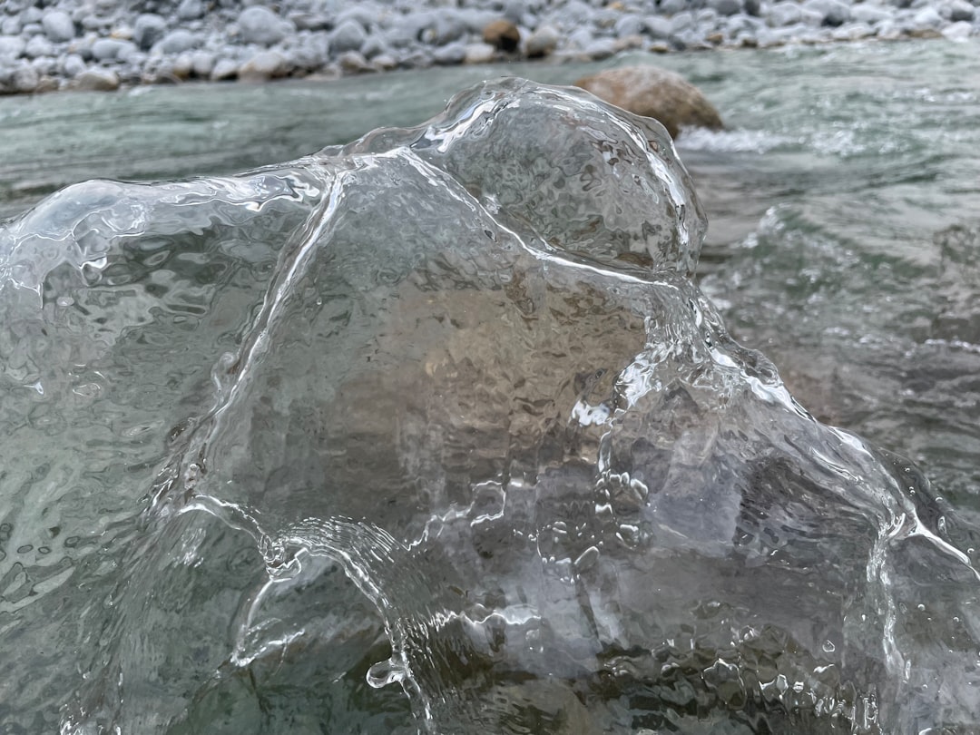 Icy Otter