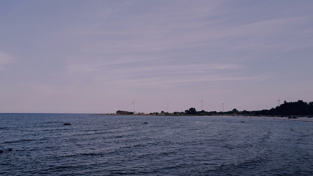 L'Estuaire