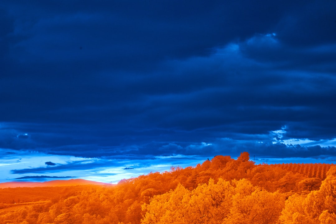 L’Orange Bleue