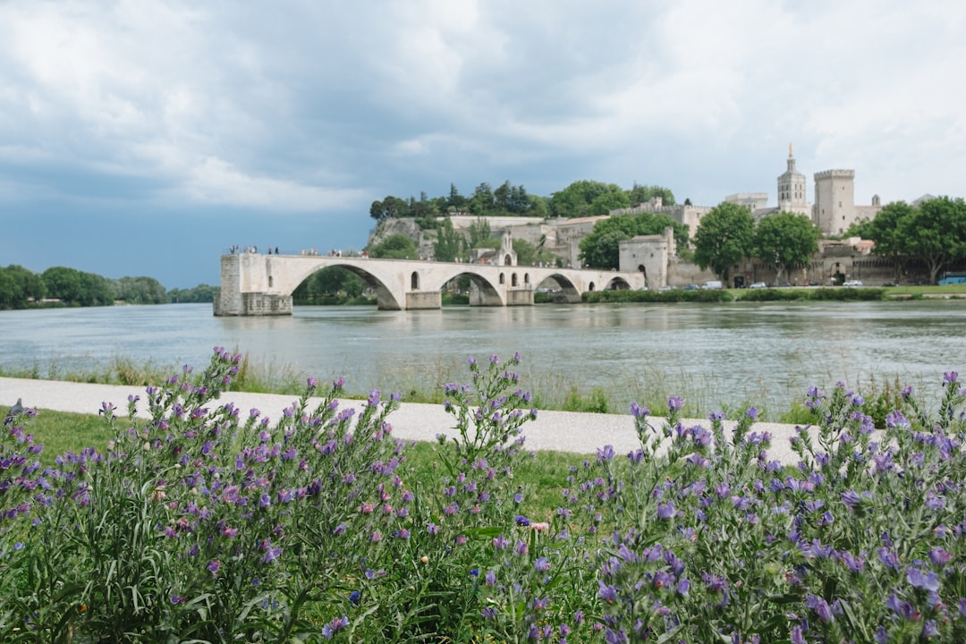 Le Goéland