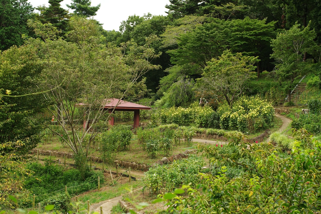 Le Jardin de Gwenn