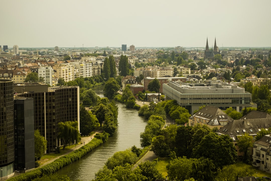 Le Rive Gauche