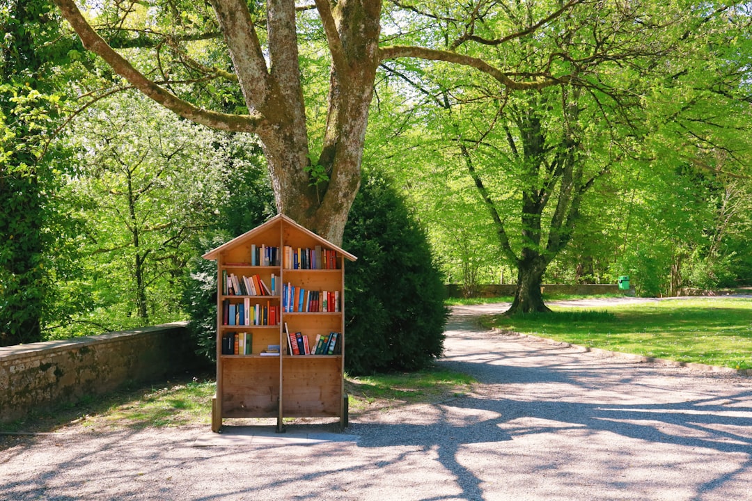 Little Free Library