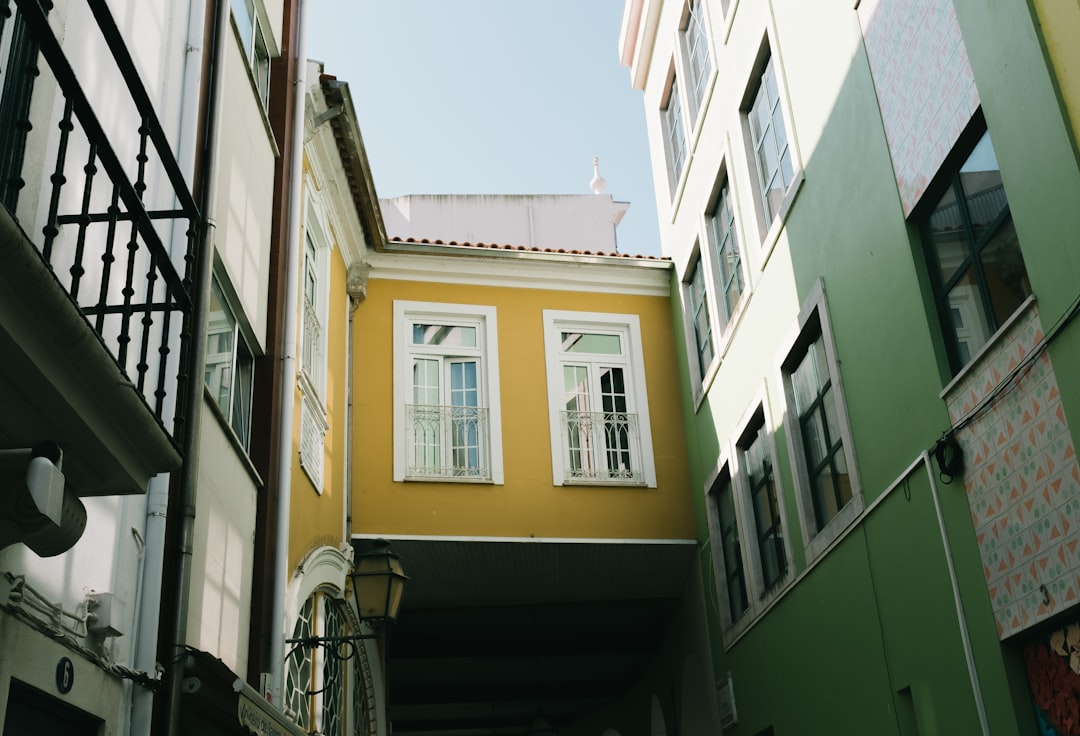 Museu Arte Nova
