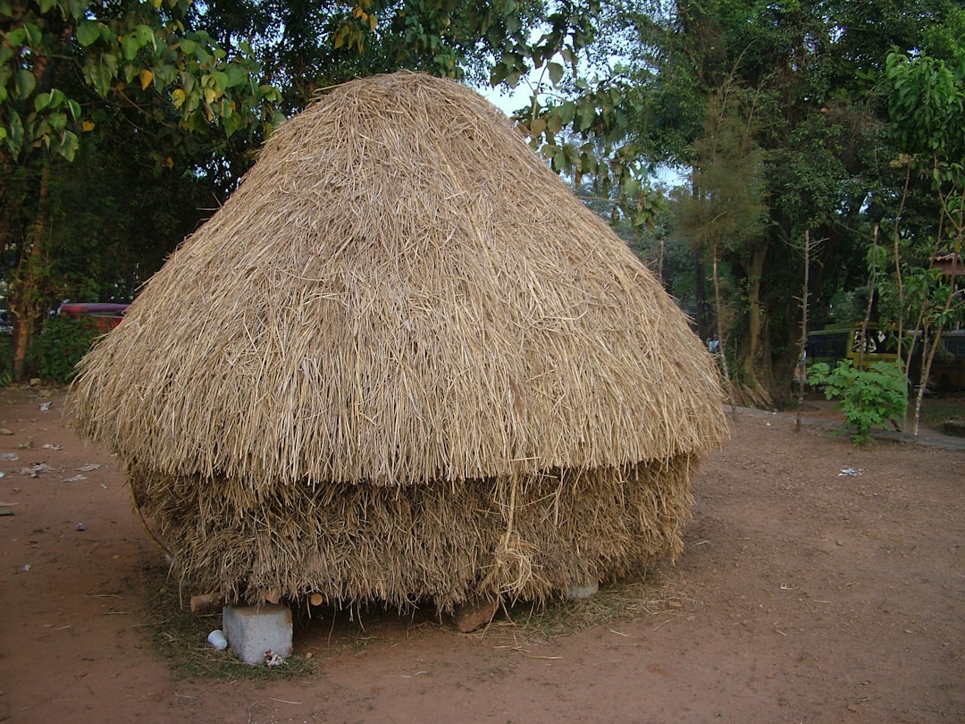 Natural Thui