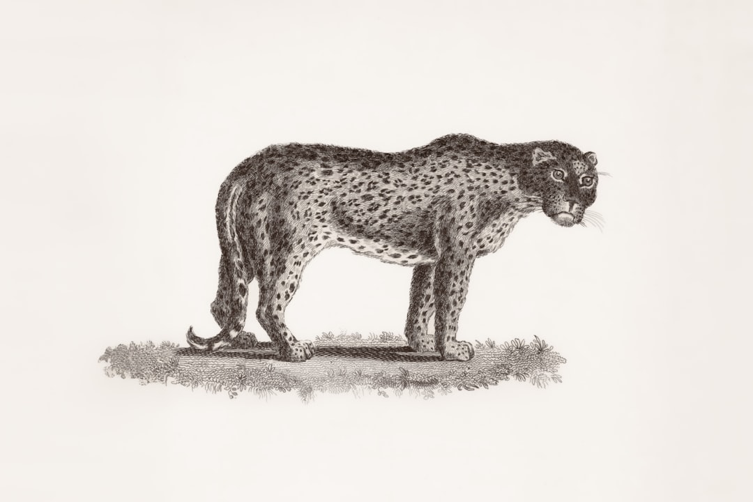 Orléans Lion d'Or