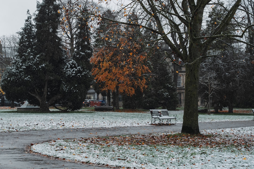 Park Campus Library