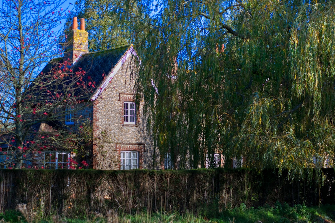 Petworth Cottage Museum