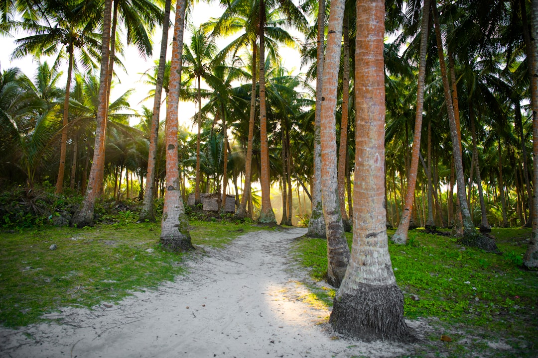 Sagana Resort