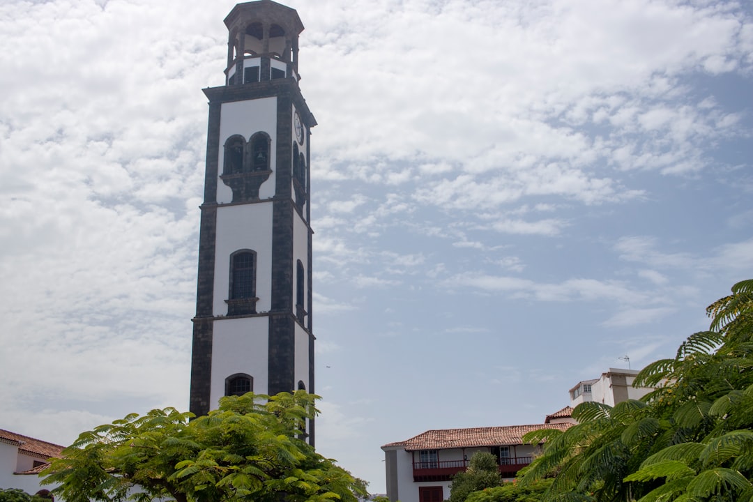 Salteñas Santa Cruz