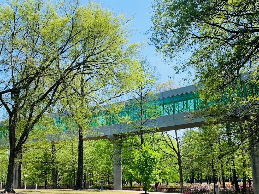 St. Jude Biomedical Library