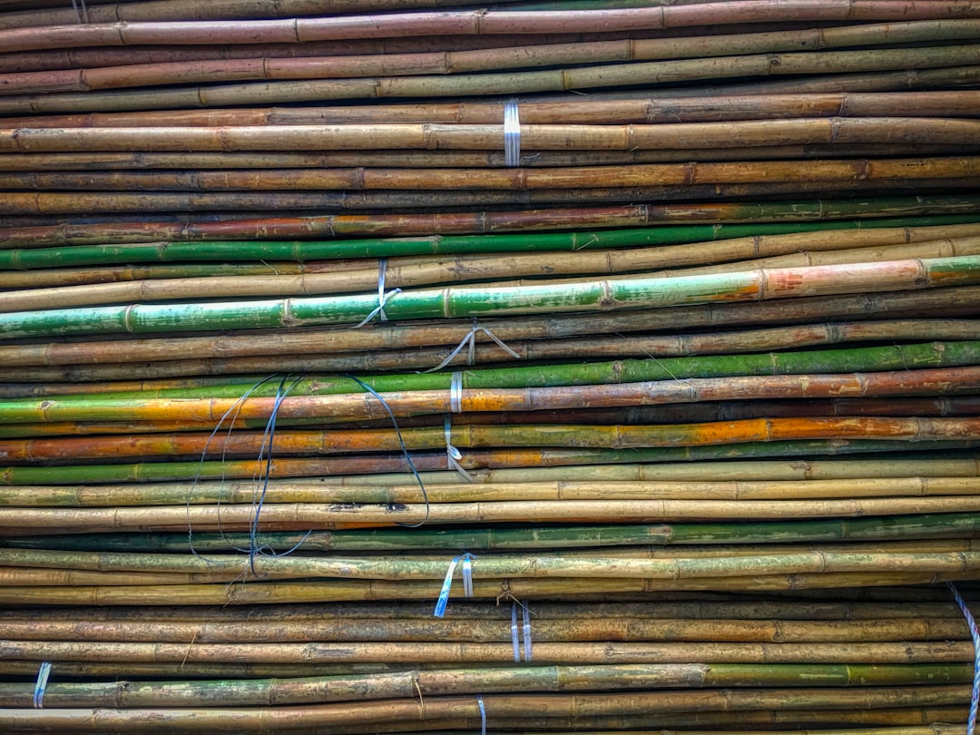 Sugar cane juice