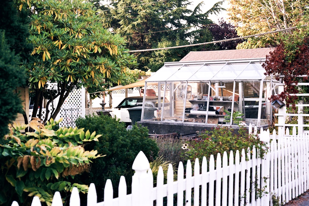 The Birdcage Cafe