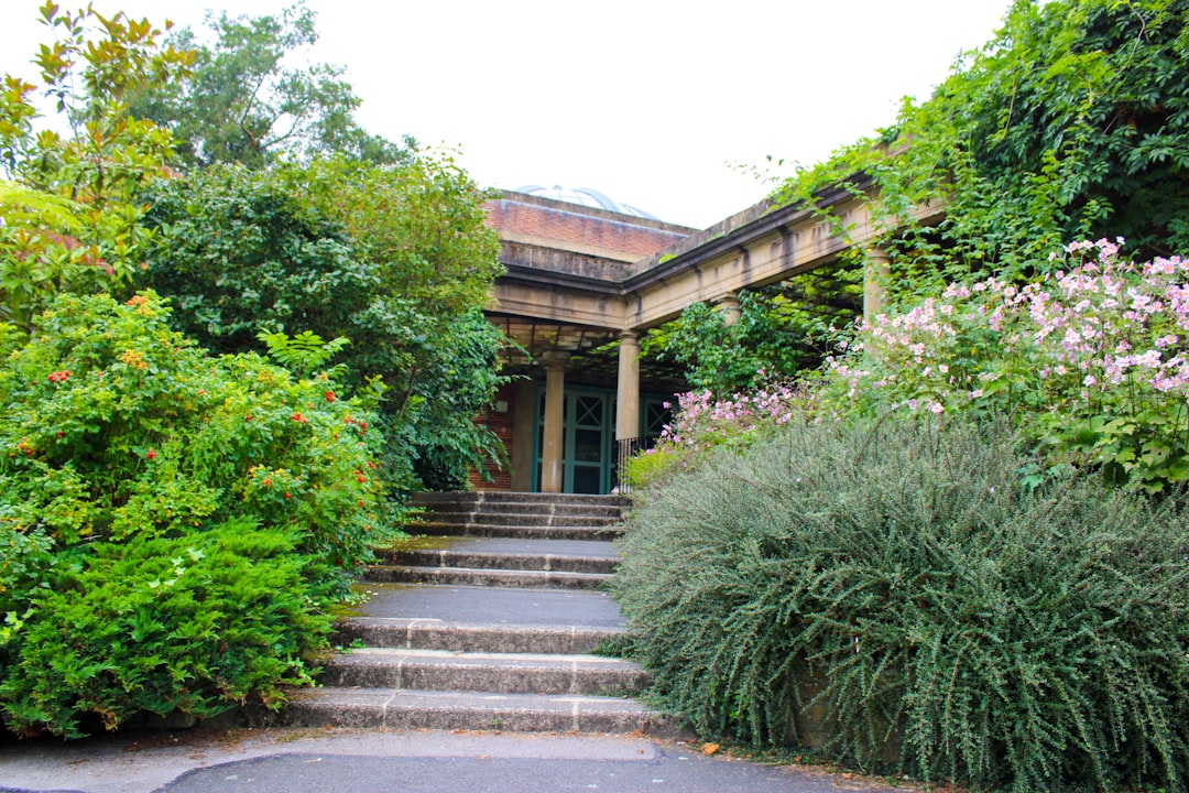 The Old Bakehouse