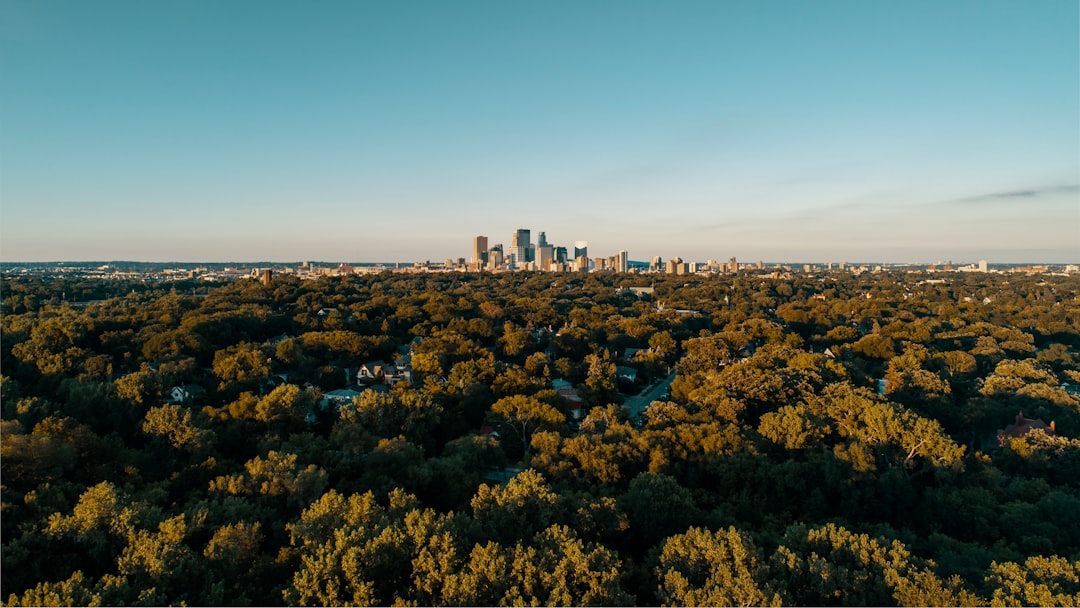 The Wilderness