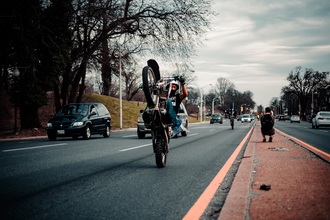 Tribe Cycle