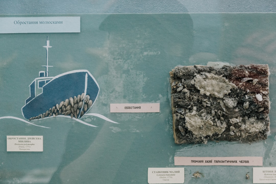 UW Geology Museum