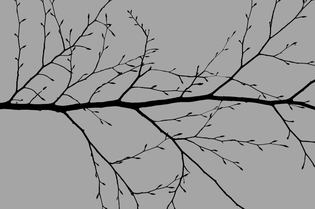 VIRL: Ucluelet Branch