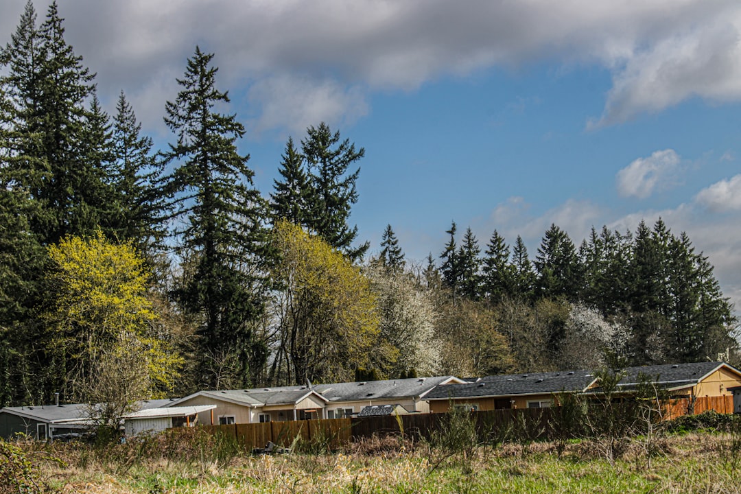 West Olympia Timberland Library