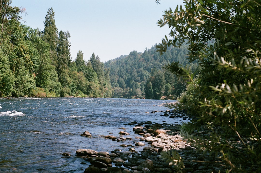 Wild River Java