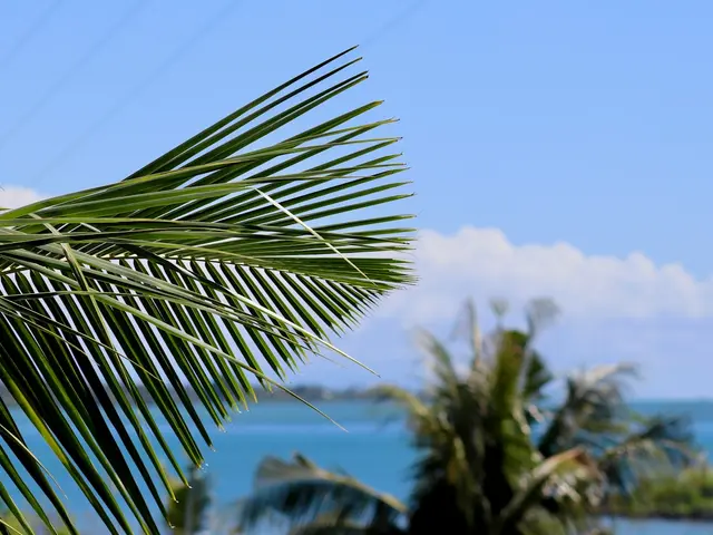 A'ana, Samoa. Hire creative talent in A'ana.