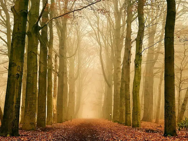 Aarschot, Belgium. Hire creative talent in Aarschot.