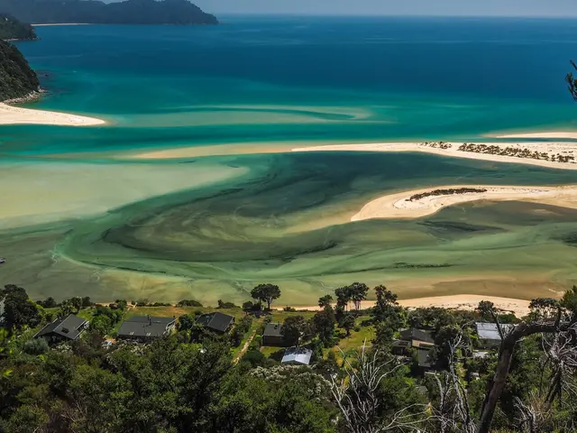 Abel Tasman, New Zealand. Hire creative talent in Abel Tasman.