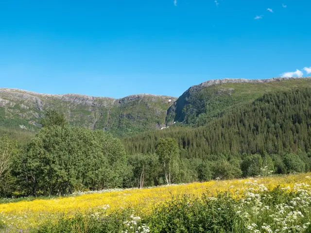 Abelvaer, Norway. Hire creative talent in Abelvaer.