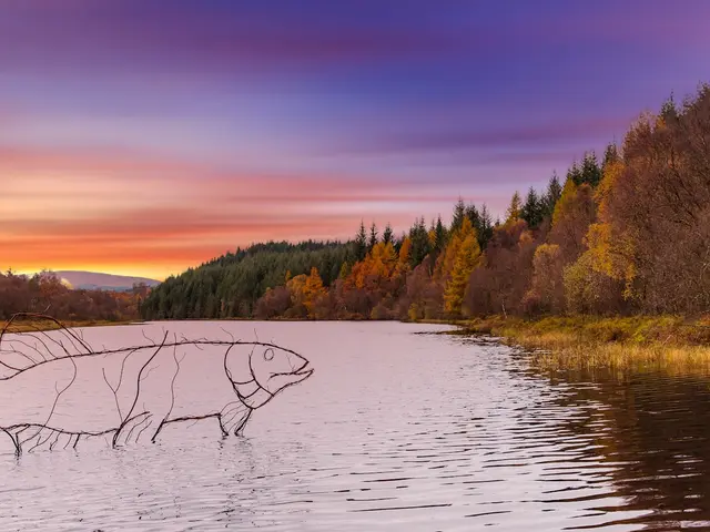Aberfoyle, United Kingdom. Hire creative talent in Aberfoyle.