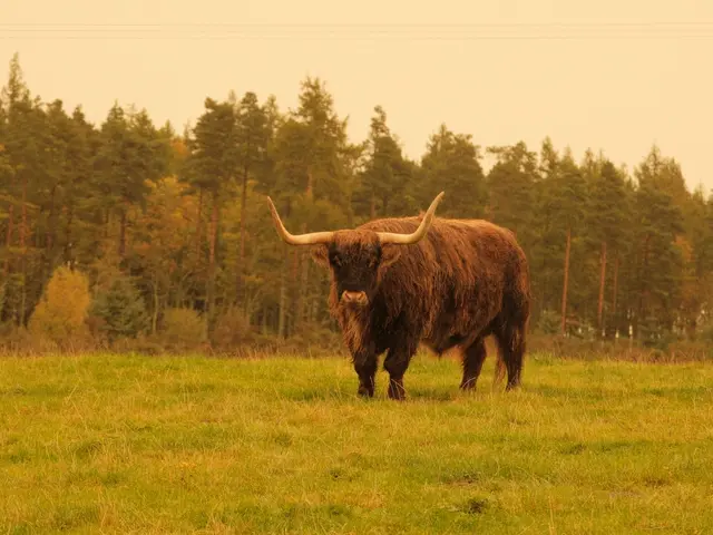 Aberlour, United Kingdom. Hire creative talent in Aberlour.