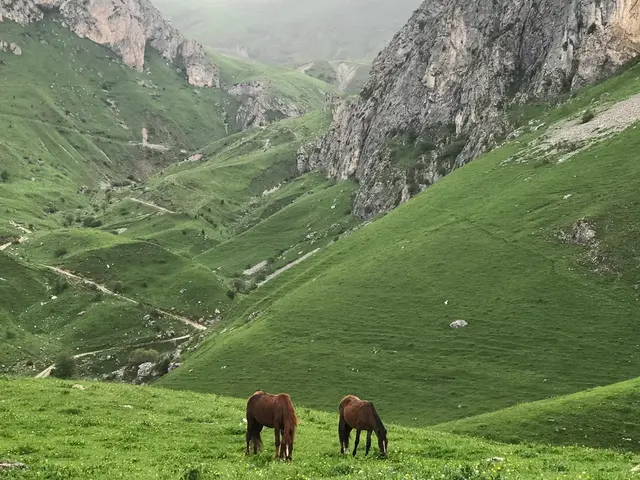 Abovyan, Armenia. Hire creative talent in Abovyan.