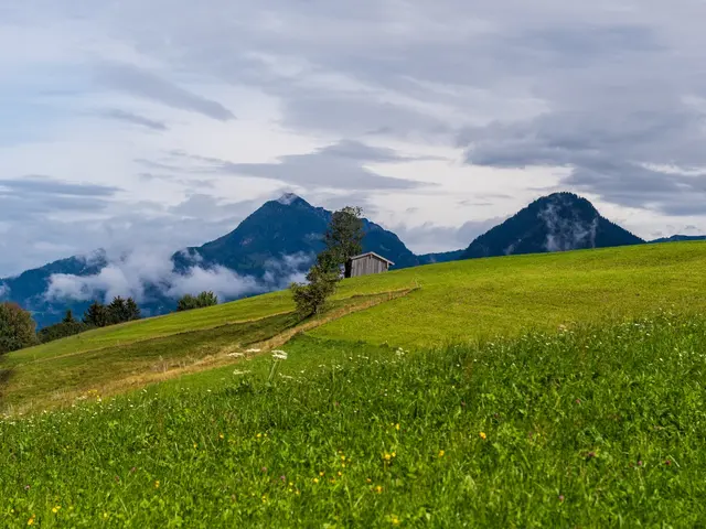 Achensee, Austria. Hire creative talent in Achensee.