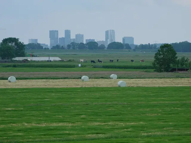 Achterveld, Netherlands. Hire creative talent in Achterveld.