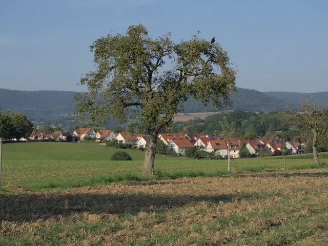 Adendorf, Germany. Hire creative talent in Adendorf.