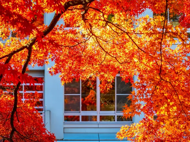 Aomori, Japan. Hire creative talent in Aomori.
