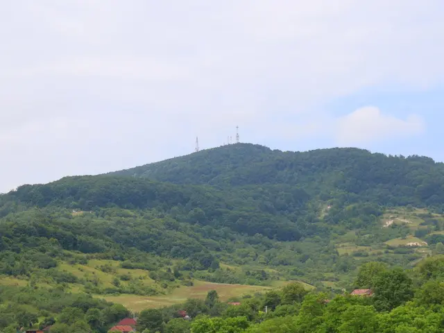 Arad, Romania. Hire creative talent in Arad.