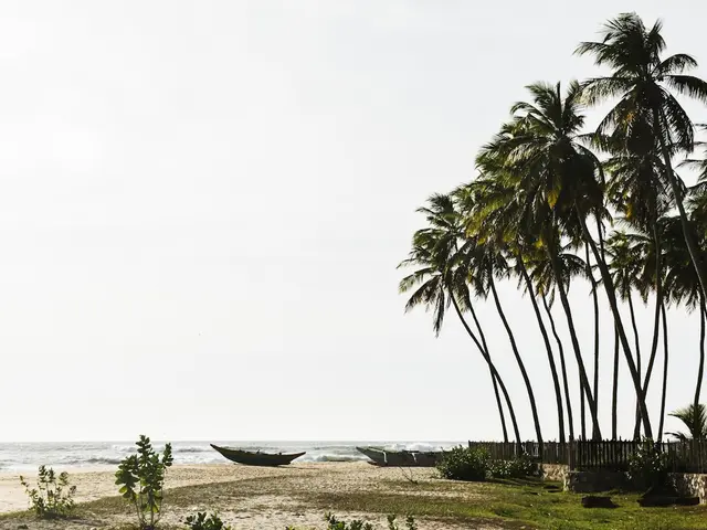 Arugam Bay, Sri Lanka. Hire creative talent in Arugam Bay.