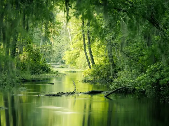 Augusta, United States. Hire creative talent in Augusta.