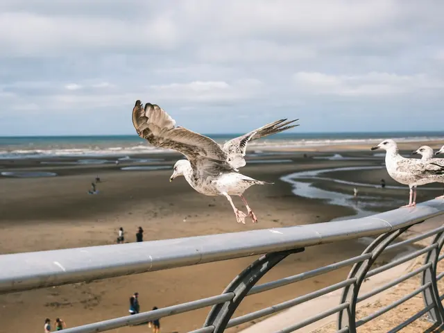 Blackpool, United Kingdom. Hire creative talent in Blackpool.
