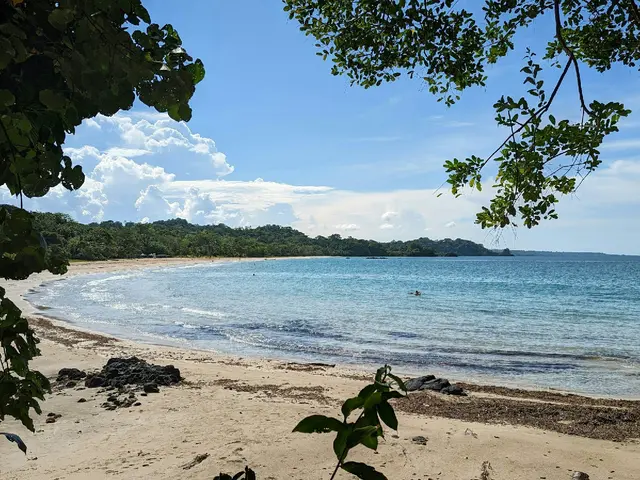 Bocas del Toro, Panama. Hire creative talent in Bocas del Toro.