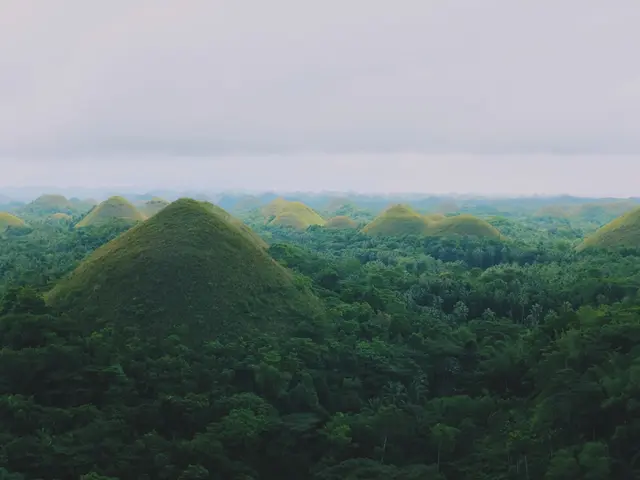 Bohol, Philippines. Hire creative talent in Bohol.